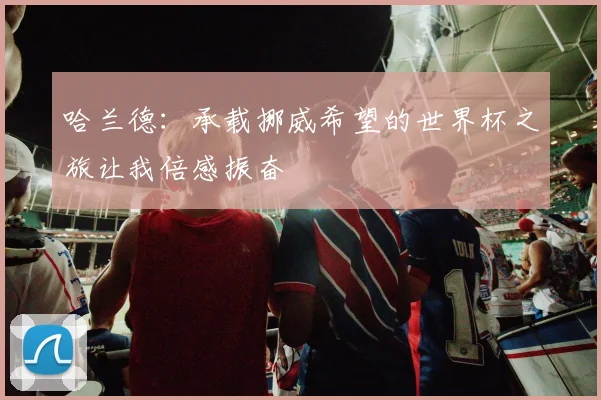 哈兰德：承载挪威希望的世界杯之旅让我倍感振奋