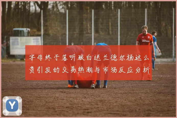 字母终于落听狼白送兰德尔杨这么贵引发的交易热潮与市场反应分析